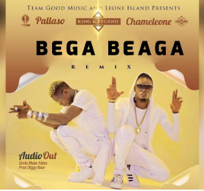 Bega Bega Remix By Pallaso Ft Jose Chameleon