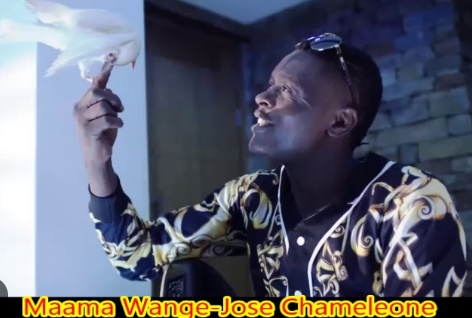 Maama Wange By Dr Jose Chameleon