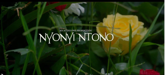 Nyonyi Ntono By Iryn Namubiru