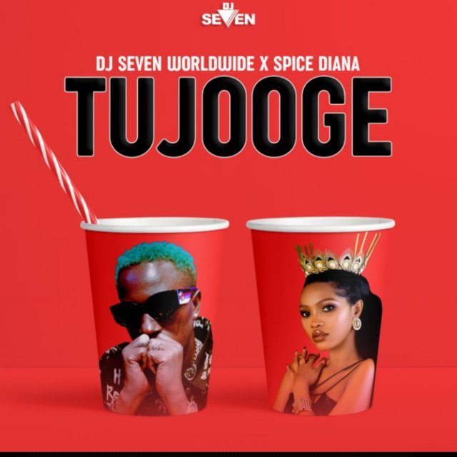 Tujooge By DJ Seven Worldwide Ft Spice Diana