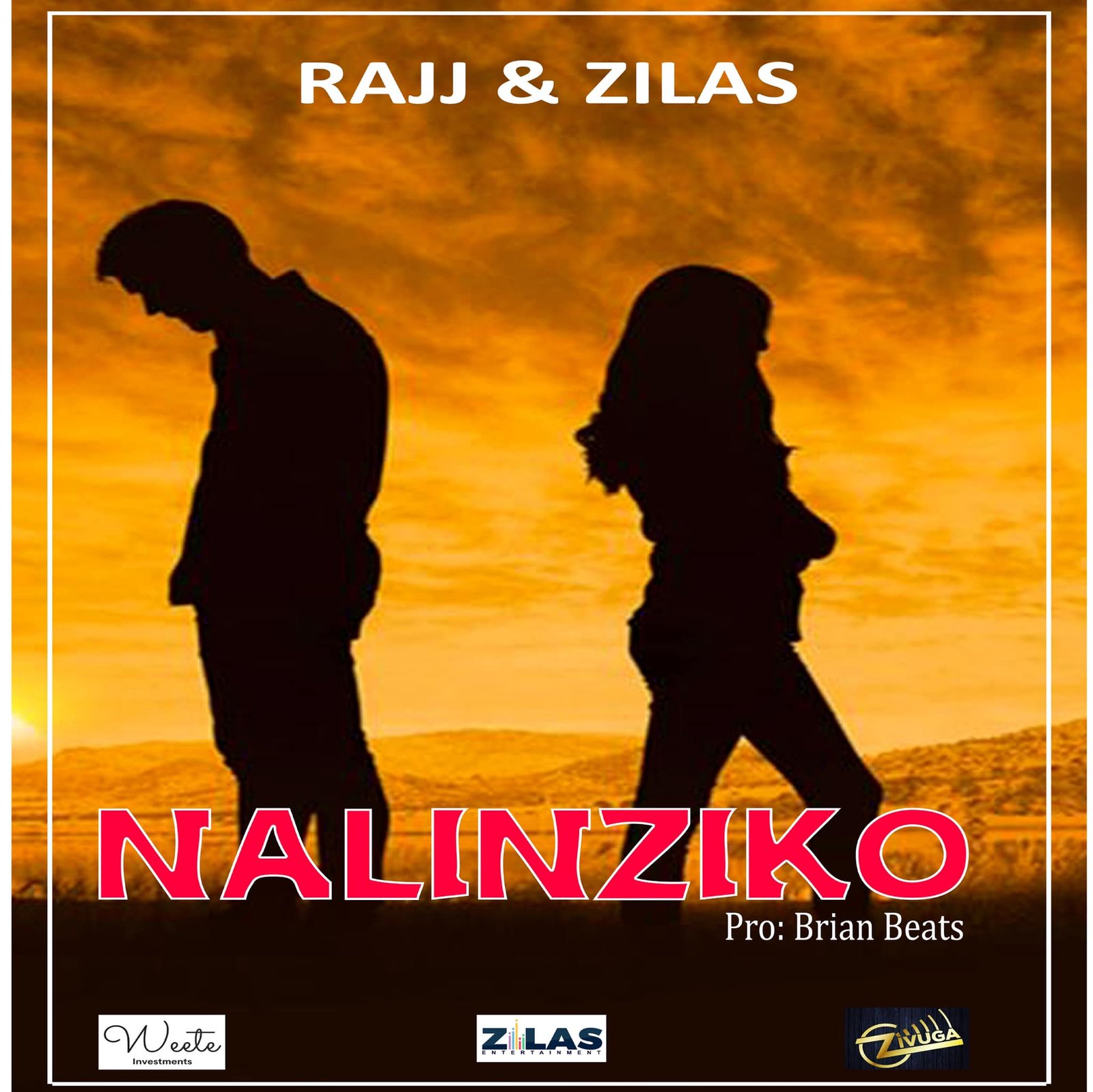 Narinziko By Rajj & Zilas