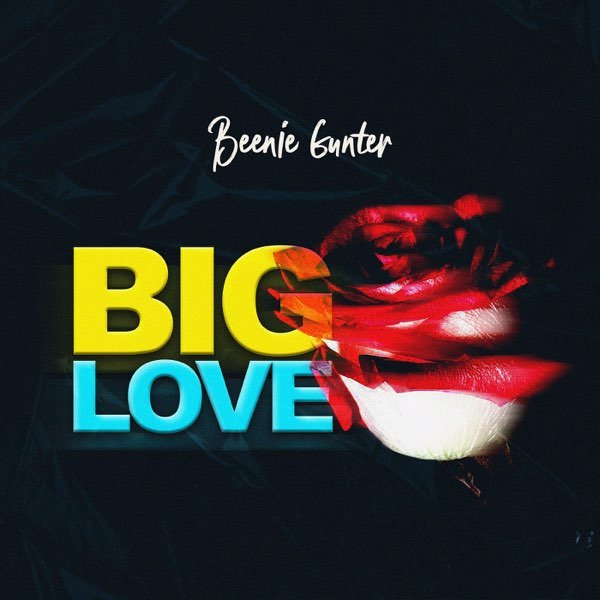 Big Love By Beenie Gunter