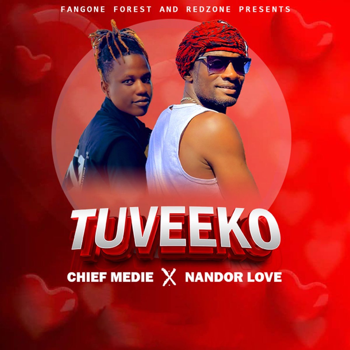 Tuveko Reggae Version By Chief Meddie And Nandor Love