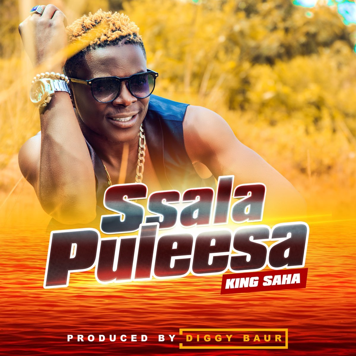 Saala Puleesa By King Saha