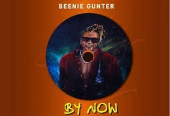 By Now By Beenie Gunter