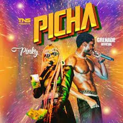 Picha By Grenade Official Ft Pinky